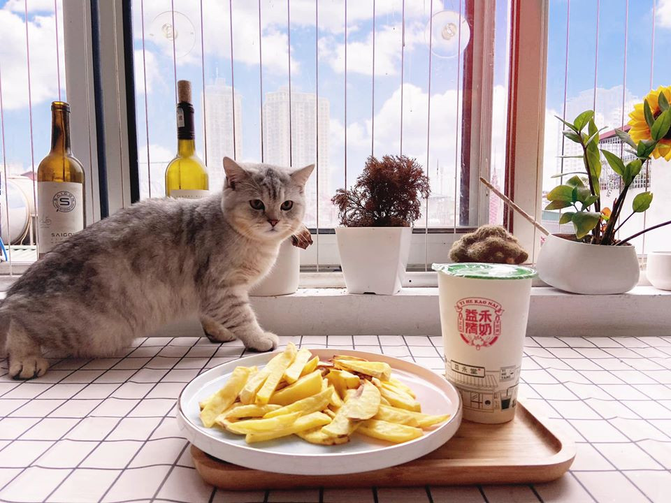 Chuyện sống tự lập cùng “boss” của chàng “ế” 9x gây bão mạng xã hội ảnh 3