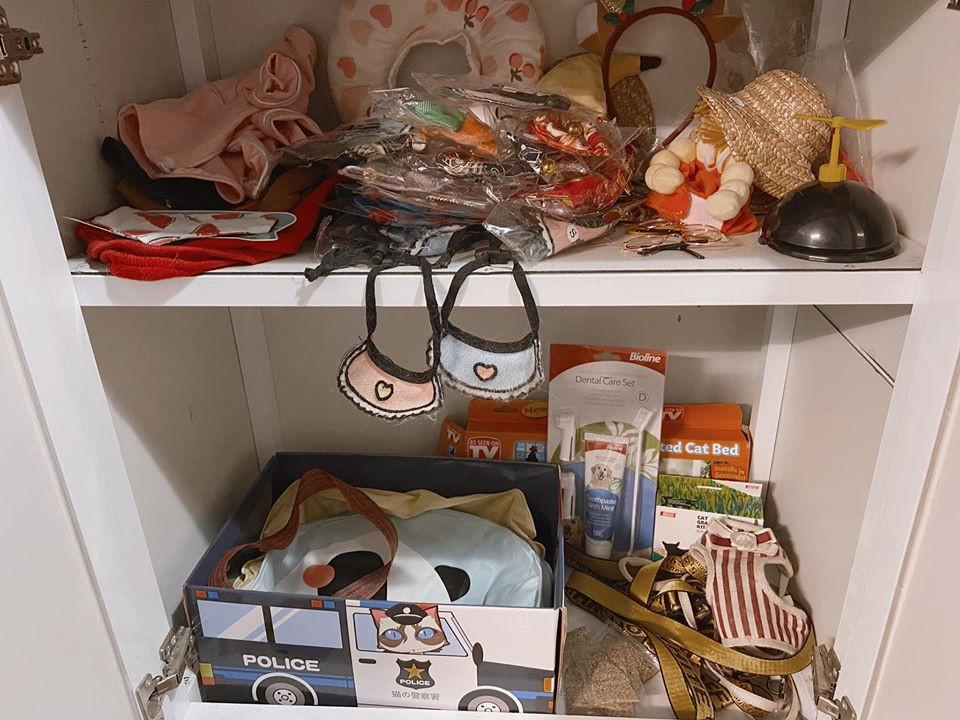 Chuyện sống tự lập cùng “boss” của chàng “ế” 9x gây bão mạng xã hội ảnh 6