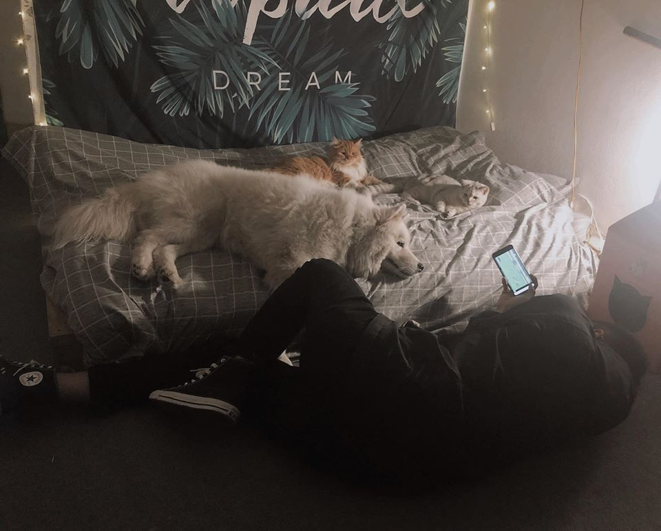 Chuyện sống tự lập cùng “boss” của chàng “ế” 9x gây bão mạng xã hội ảnh 5