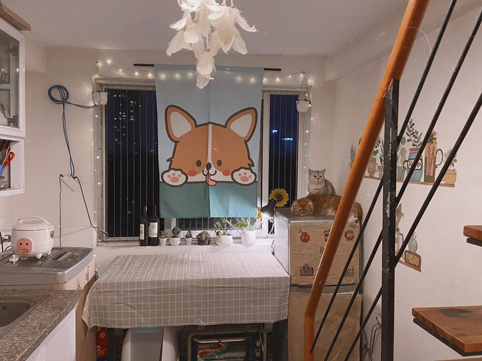 Chuyện sống tự lập cùng “boss” của chàng “ế” 9x gây bão mạng xã hội ảnh 1