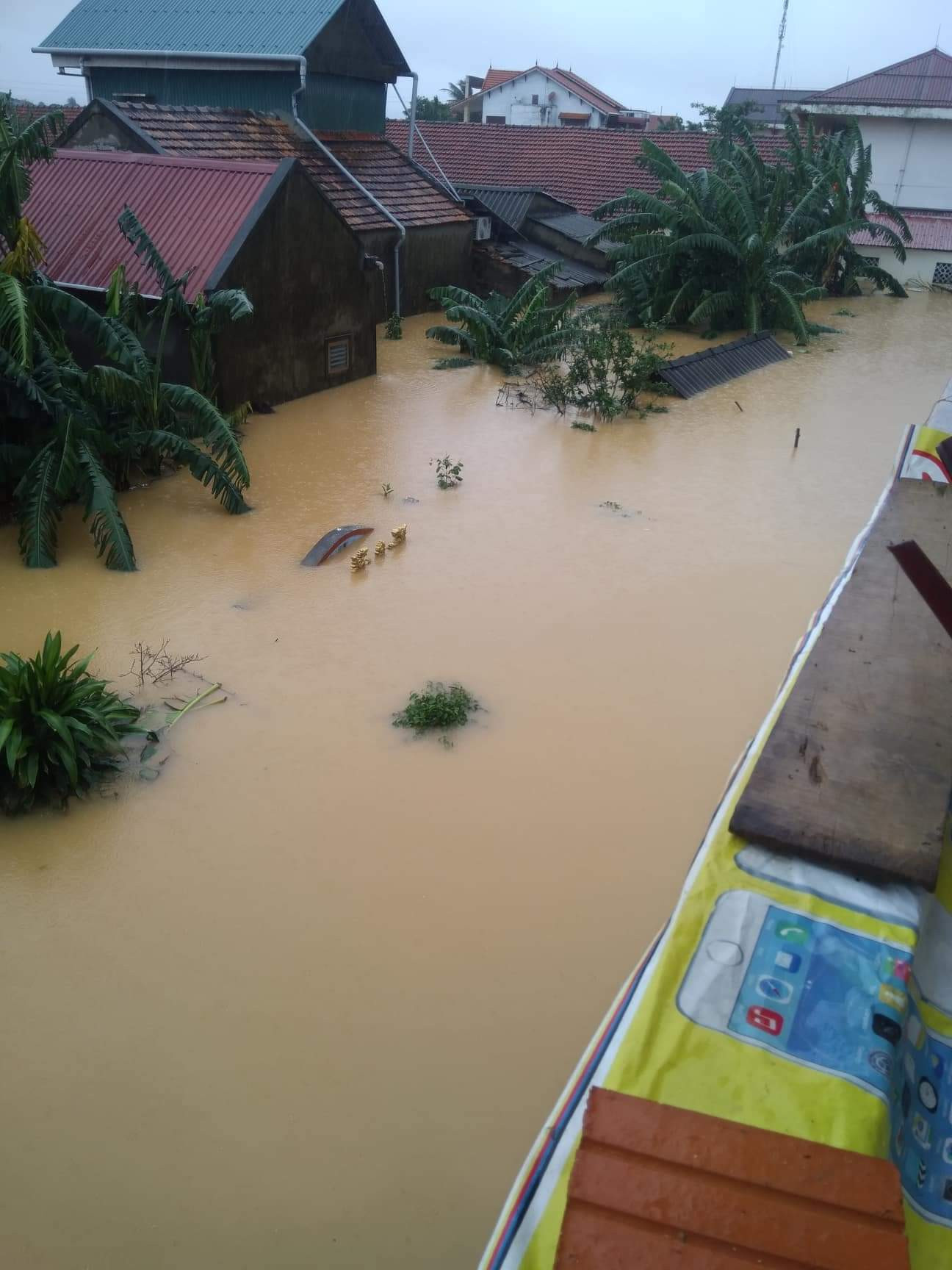 Lời kể từ tâm lũ: Mất tất cả, 12 người chỉ có ít lương khô và hai chai nước chờ cứu ảnh 1