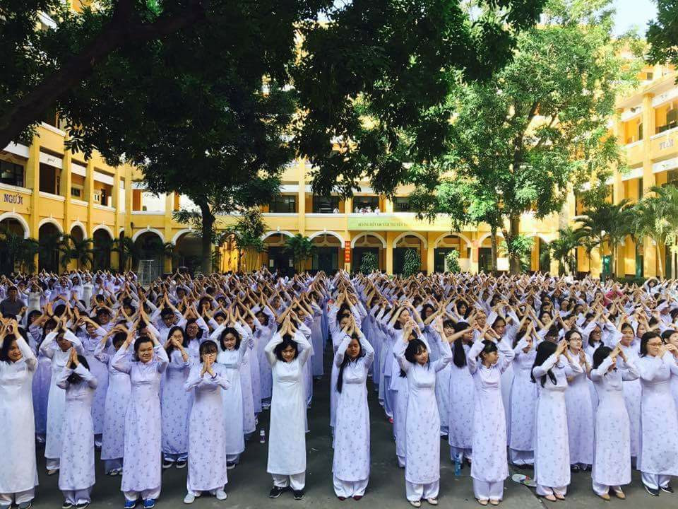 Vụ cây đổ khiến học sinh tử vong: Nguy cơ tiềm ẩn từ cây tuổi đời lâu năm tại các trường ảnh 12