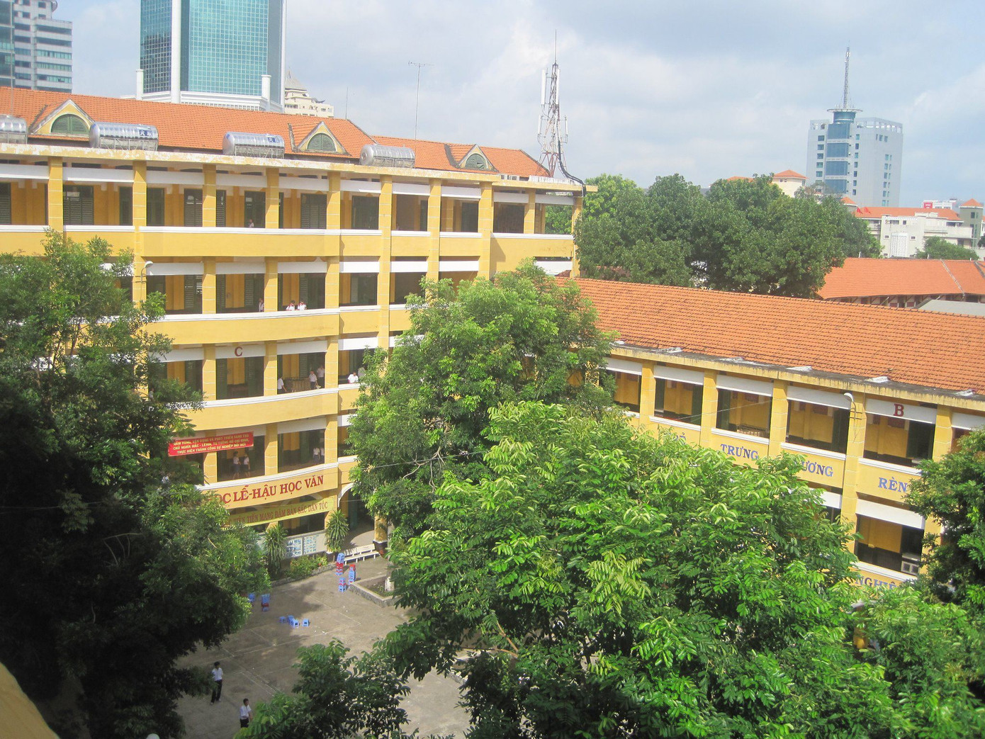 Vụ cây đổ khiến học sinh tử vong: Nguy cơ tiềm ẩn từ cây tuổi đời lâu năm tại các trường ảnh 11