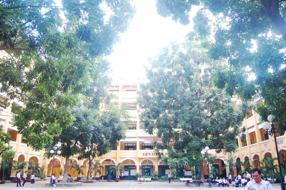 Vụ cây đổ khiến học sinh tử vong: Nguy cơ tiềm ẩn từ cây tuổi đời lâu năm tại các trường ảnh 10