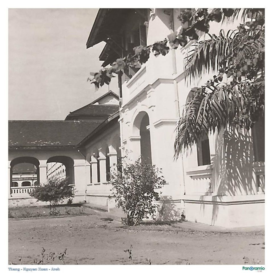 Vụ cây đổ khiến học sinh tử vong: Nguy cơ tiềm ẩn từ cây tuổi đời lâu năm tại các trường ảnh 3