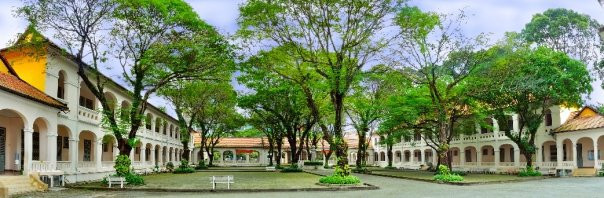 Vụ cây đổ khiến học sinh tử vong: Nguy cơ tiềm ẩn từ cây tuổi đời lâu năm tại các trường ảnh 5