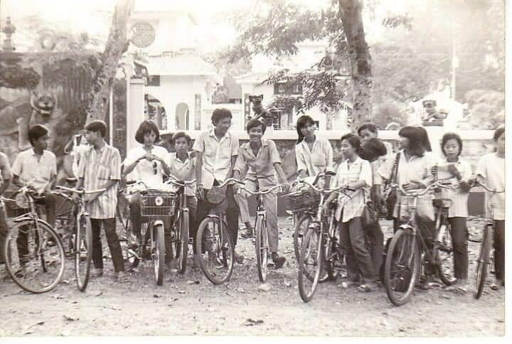 Vụ cây đổ khiến học sinh tử vong: Nguy cơ tiềm ẩn từ cây tuổi đời lâu năm tại các trường ảnh 8