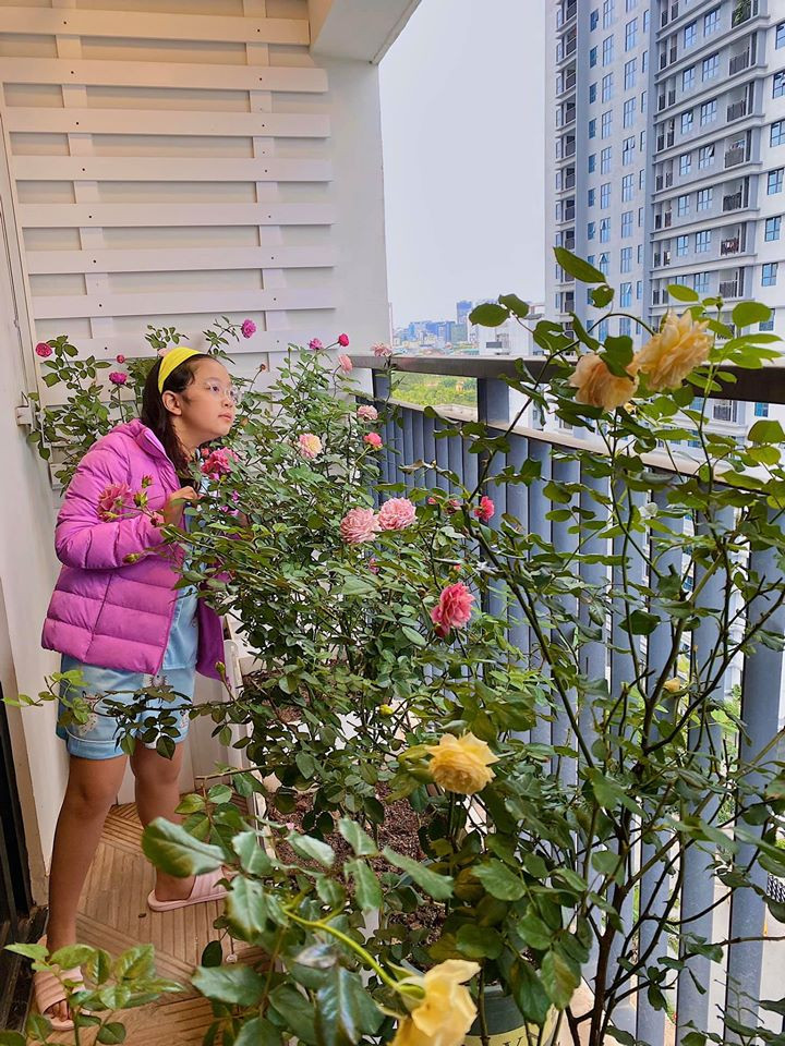 Các MC, BTV VTV làm gì trong thời gian cách ly xã hội? ảnh 9