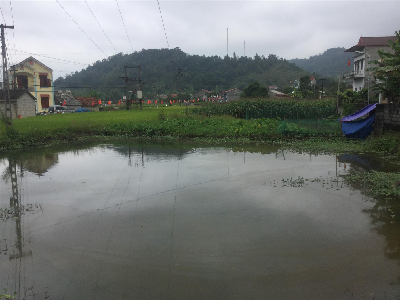 110 năm ngày sinh đồng chí Hoàng Văn Thụ: Thời tuổi trẻ sôi nổi ảnh 1