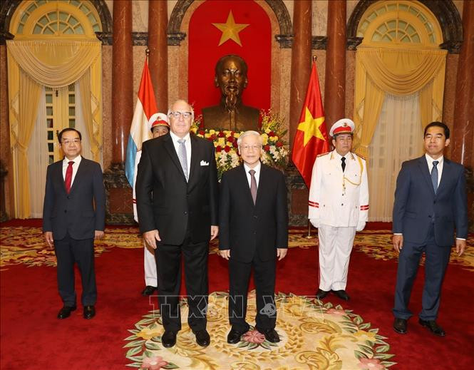 Tổng Bí thư, Chủ tịch nước Nguyễn Phú Trọng tiếp các Đại sứ trình Quốc thư ảnh 7