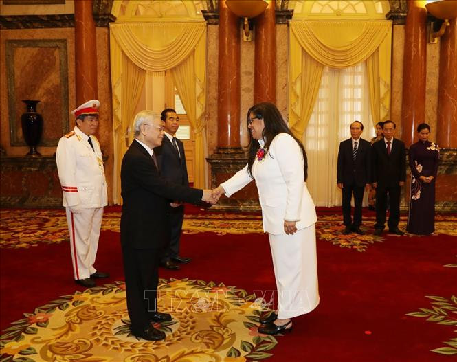 Tổng Bí thư, Chủ tịch nước Nguyễn Phú Trọng tiếp các Đại sứ trình Quốc thư ảnh 5