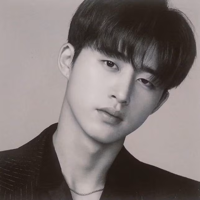 Lee Young Ae, Park Seo Joon và loạt sao Hàn quyên tiền tỷ chống dịch Covid-19 ảnh 4