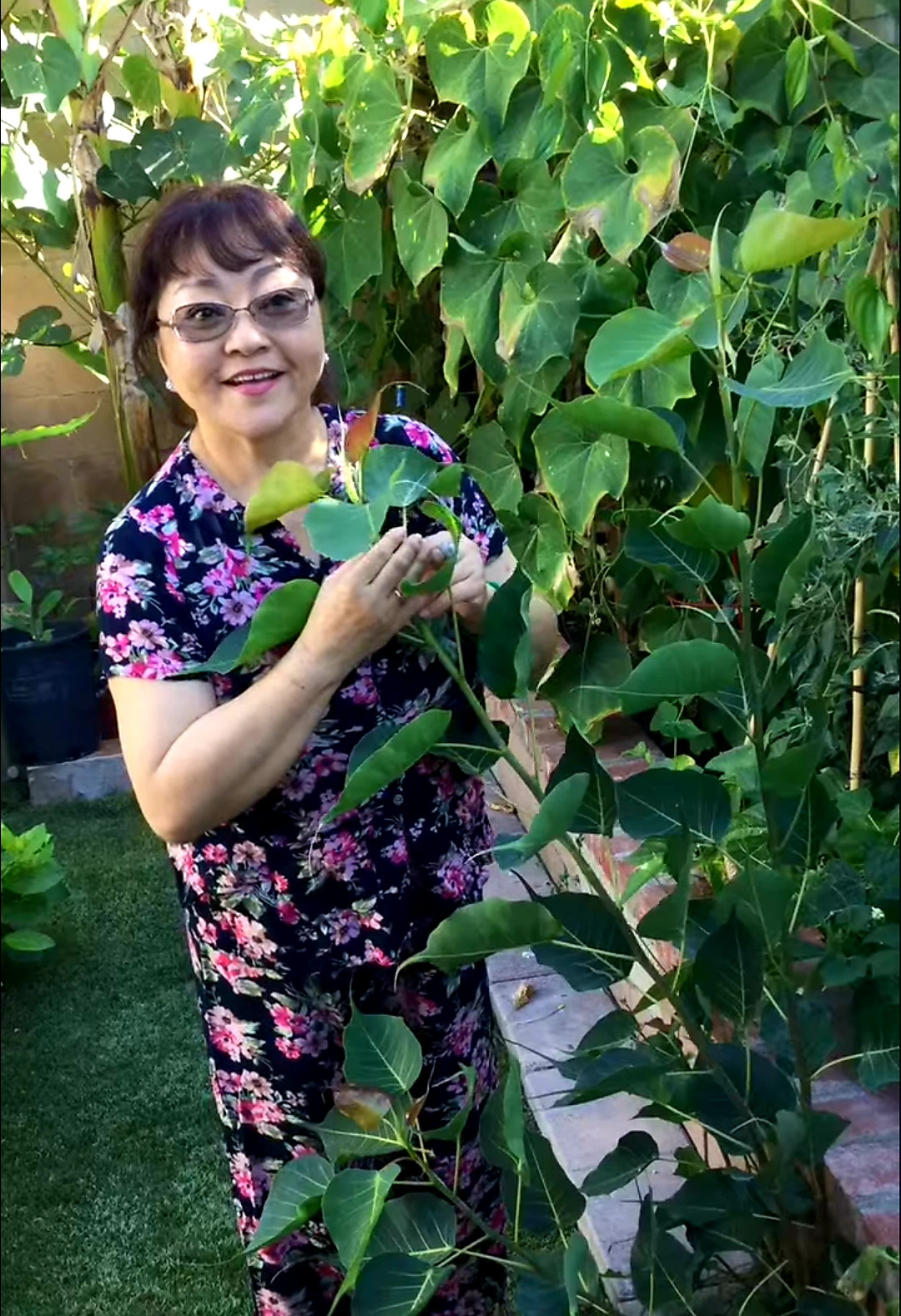 Vườn cây trái tươi tốt ở Mỹ của danh ca Hương Lan ảnh 4