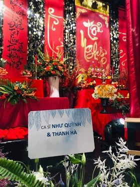 Mỹ Tâm 'bật mí' điều gì khiến fan Như Quỳnh thích thú? ảnh 5