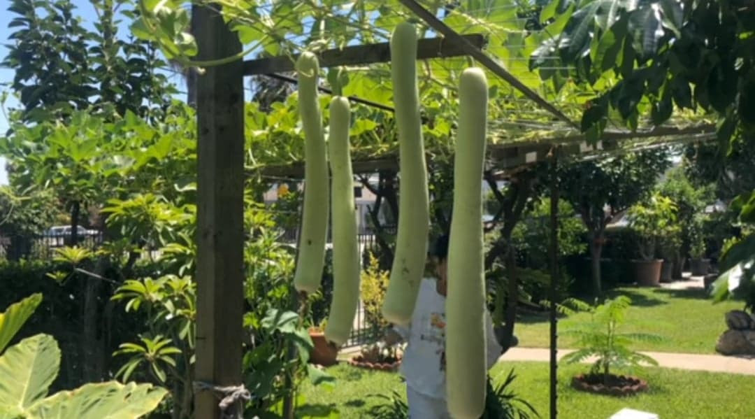 'Ông hoàng nhạc nghèo' Trường Vũ hé lộ không gian sống mơ ước ảnh 6