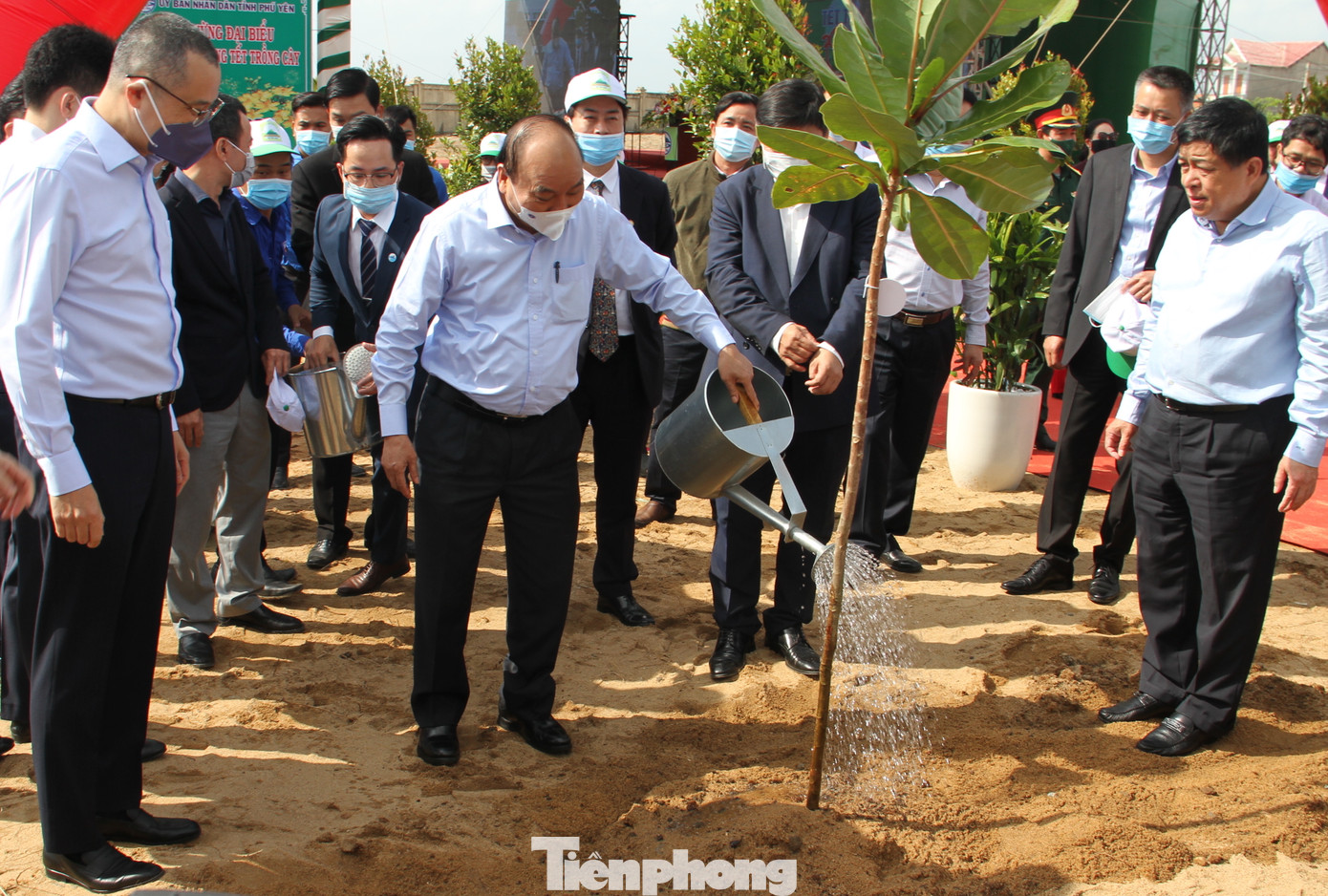 Thủ tướng Nguyễn Xuân Phúc: 'Mỗi người, mỗi nhà, mỗi cơ quan cùng gieo mầm xanh của sự sống' ảnh 3