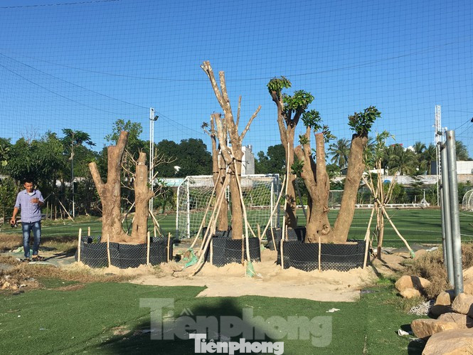 Nhiều dấu hỏi về việc ưu ái cho thuê 'đất vàng' SVĐ Cam Ranh với giá bèo ảnh 3