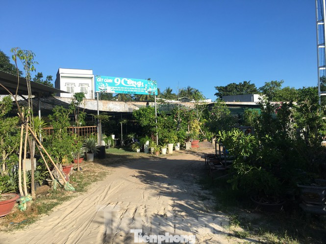 Nhiều dấu hỏi về việc ưu ái cho thuê 'đất vàng' SVĐ Cam Ranh với giá bèo ảnh 2