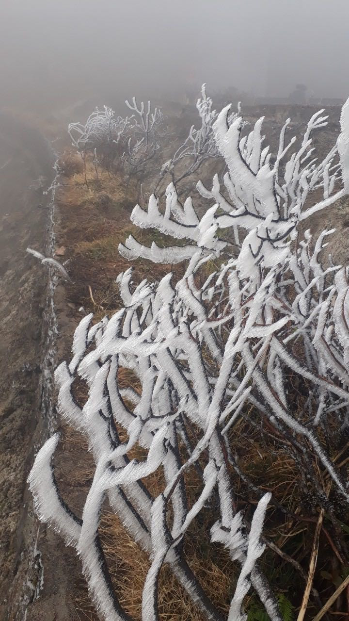 Nhiệt độ giảm sâu, băng tuyết phủ trắng Fansipan như trời Âu ảnh 5