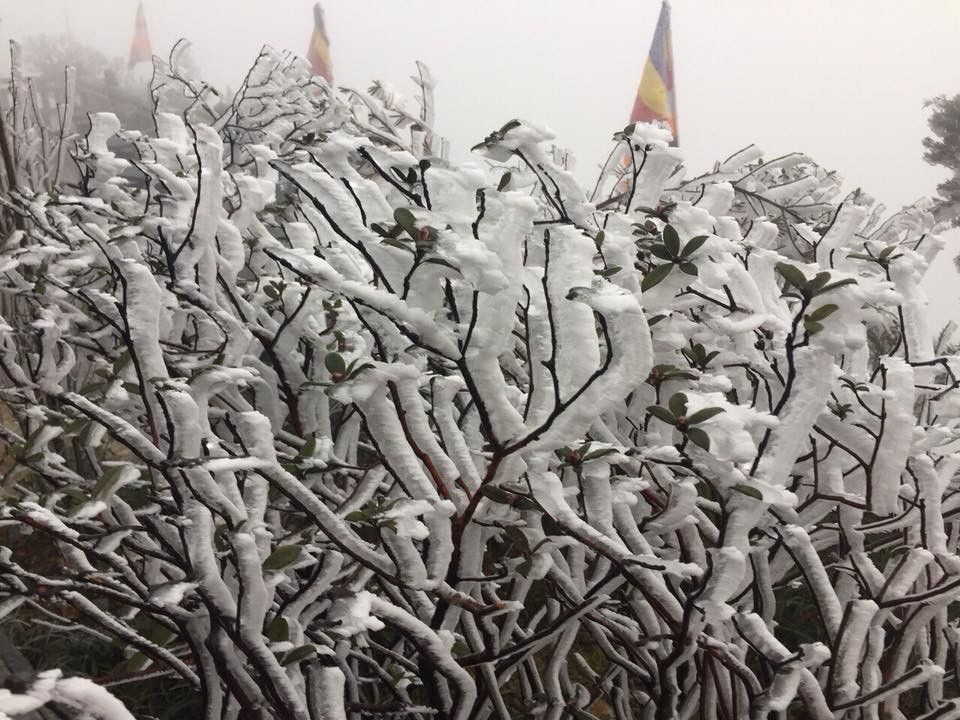 Nhiệt độ giảm sâu, băng tuyết phủ trắng Fansipan như trời Âu ảnh 3