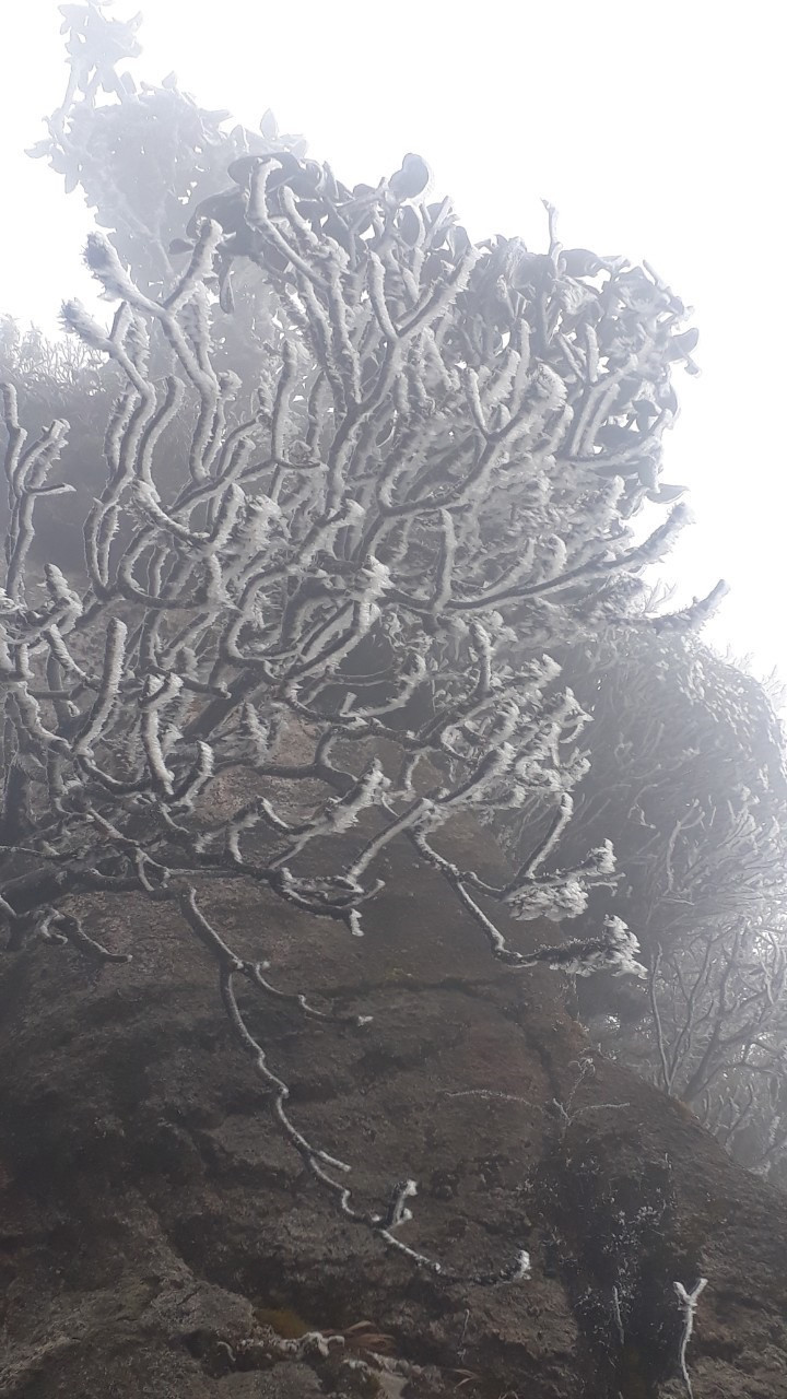 Nhiệt độ giảm sâu, băng tuyết phủ trắng Fansipan như trời Âu ảnh 4