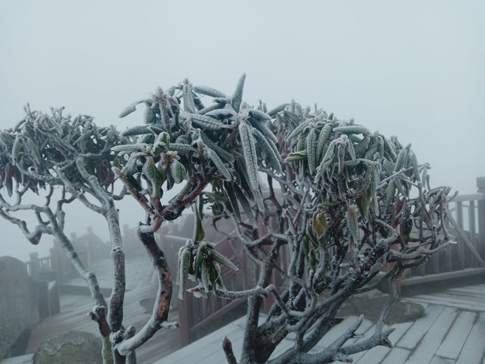 Nhiệt độ giảm sâu, băng tuyết phủ trắng Fansipan như trời Âu ảnh 6