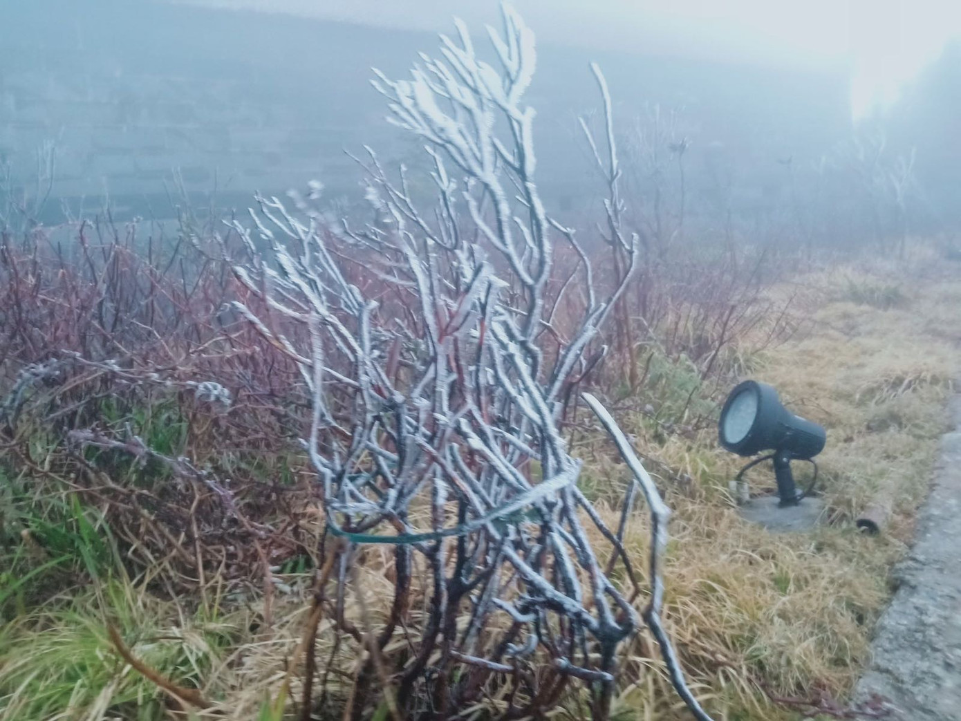 Nhiệt độ giảm sâu, băng tuyết phủ trắng Fansipan như trời Âu ảnh 7