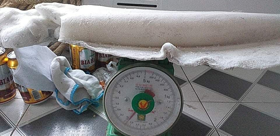 Mực lá 'siêu to' gần nửa triệu đồng/kg hút khách Hà Nội ảnh 2