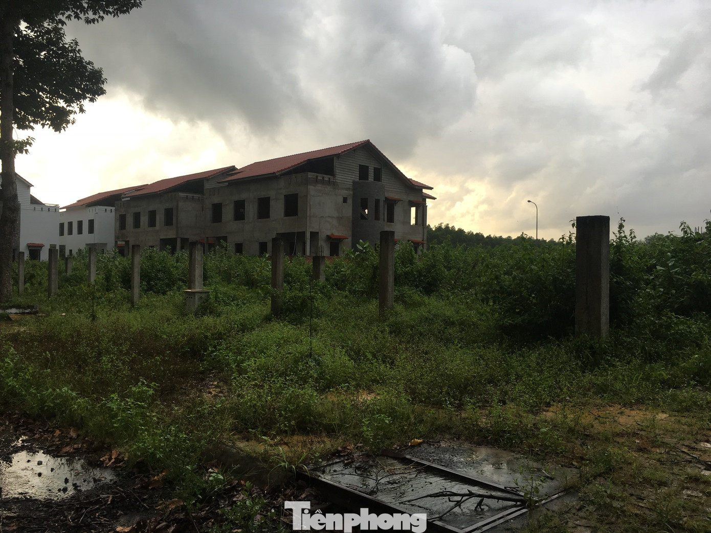 Sau 5 lần sốt đất, đô thị lớn nhất phía Nam trở thành hoang tàn ảnh 14