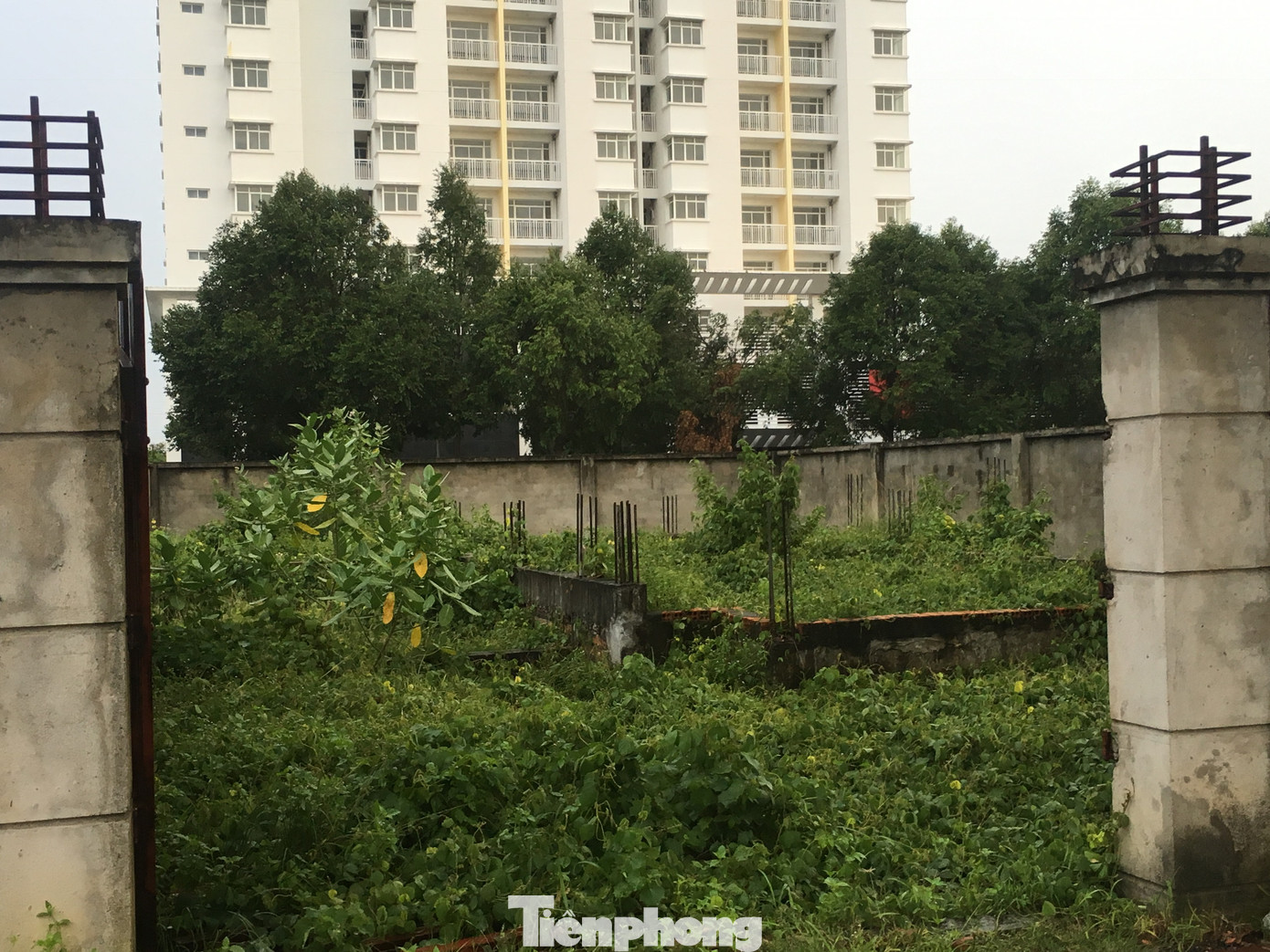 Sau 5 lần sốt đất, đô thị lớn nhất phía Nam trở thành hoang tàn ảnh 24