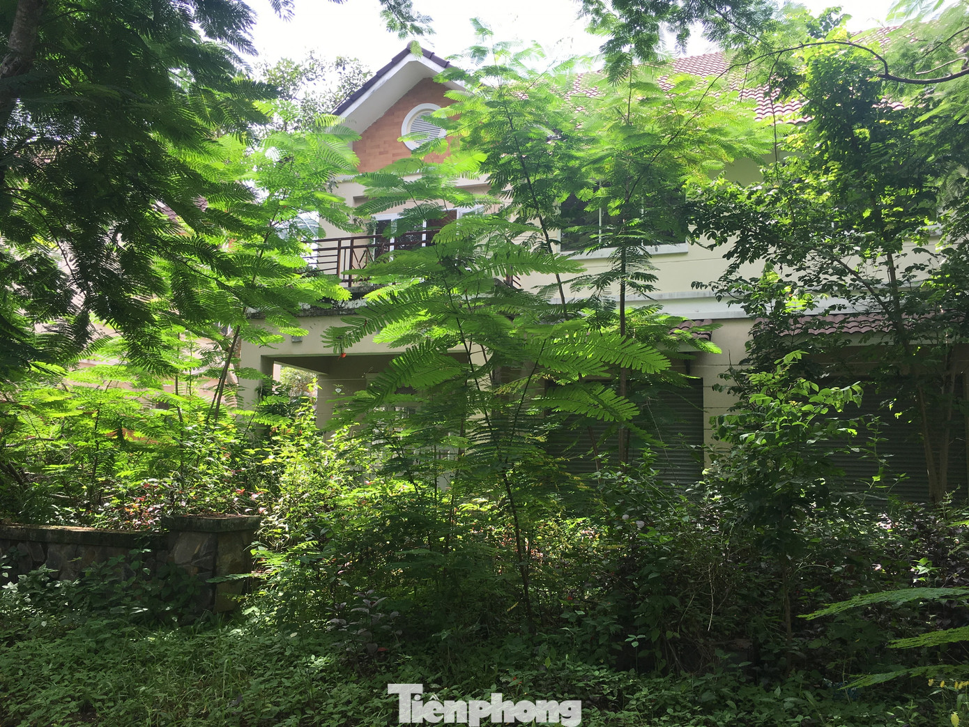 Sau 5 lần sốt đất, đô thị lớn nhất phía Nam trở thành hoang tàn ảnh 8