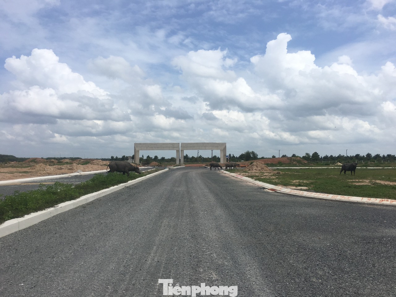 Sau 5 lần sốt đất, đô thị lớn nhất phía Nam trở thành hoang tàn ảnh 30