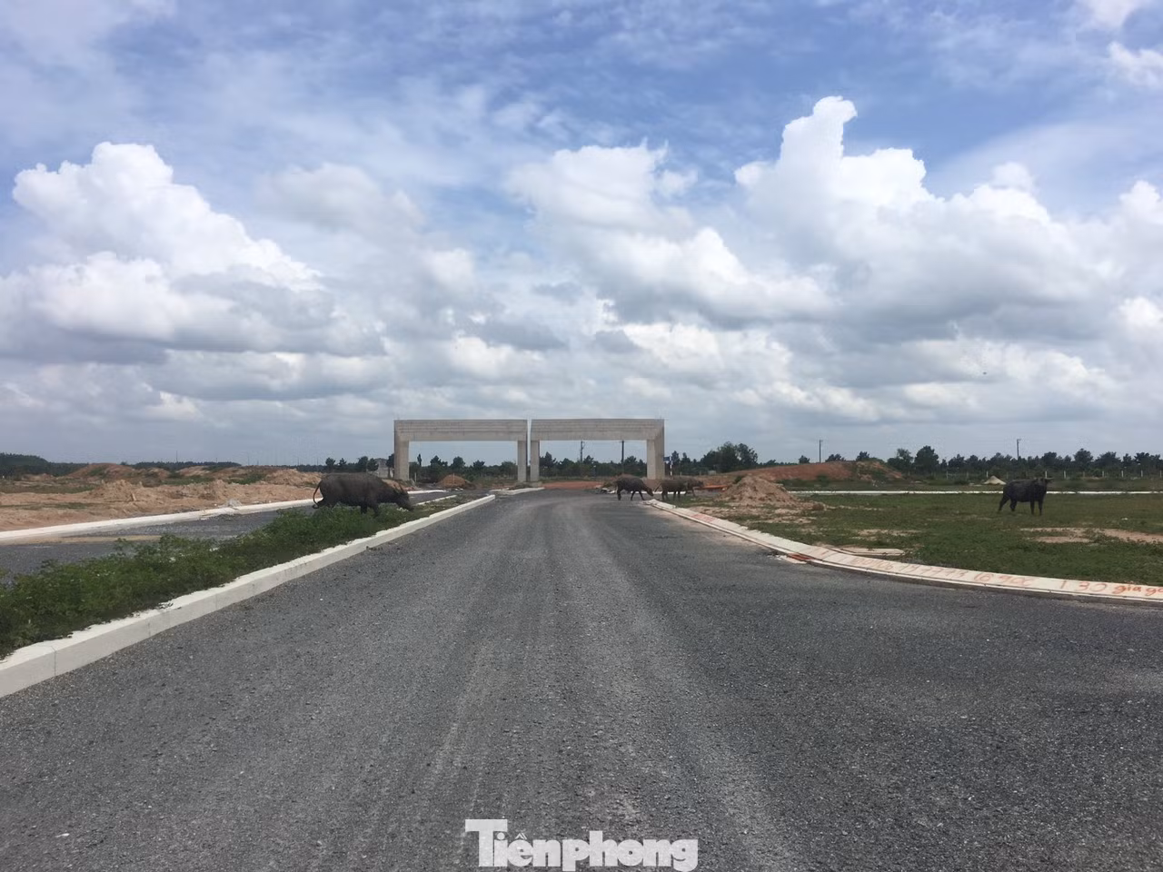 Sau 5 lần sốt đất, đô thị lớn nhất phía Nam trở thành hoang tàn ảnh 30