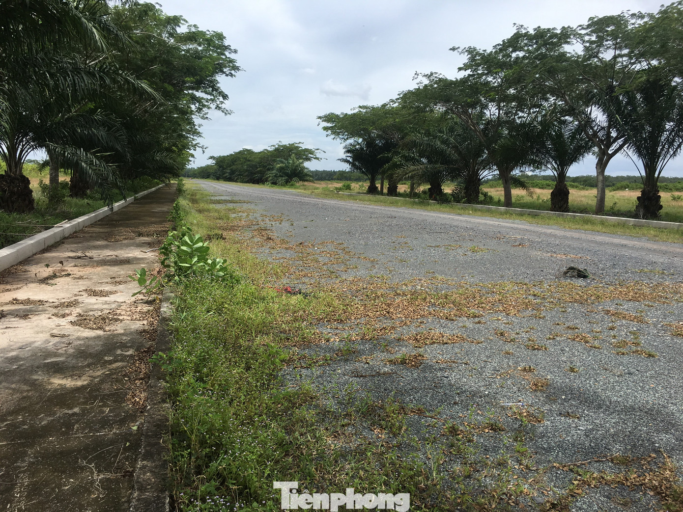 Sau 5 lần sốt đất, đô thị lớn nhất phía Nam trở thành hoang tàn ảnh 21