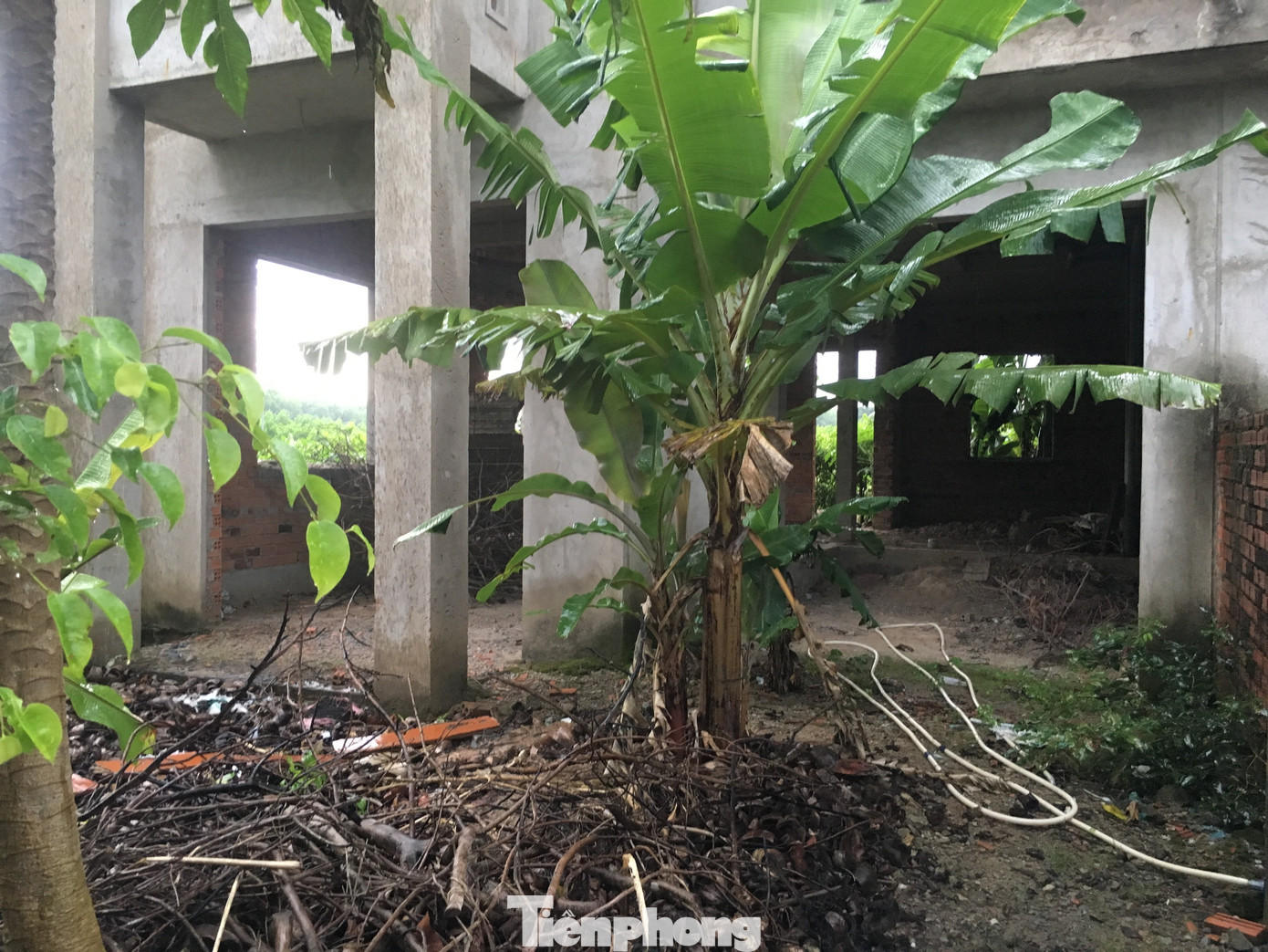 Sau 5 lần sốt đất, đô thị lớn nhất phía Nam trở thành hoang tàn ảnh 16