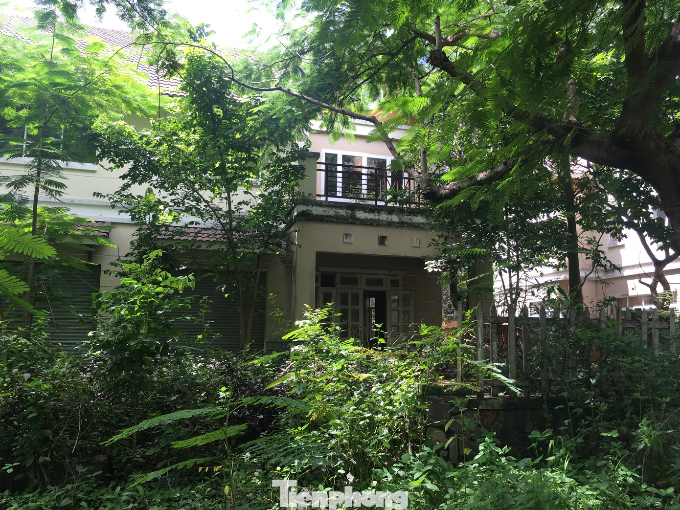 Sau 5 lần sốt đất, đô thị lớn nhất phía Nam trở thành hoang tàn ảnh 7