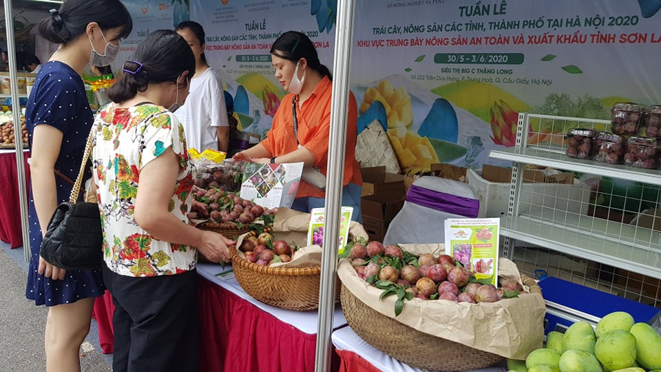Vào hè, trái cây vùng miền đổ bộ hội chợ trái cây, nông sản Hà Nội ảnh 5