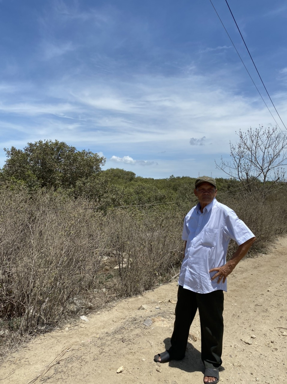 Nỗi khổ người dân 10 năm chưa được đền bù đất ở Vũng Tàu sau kiến nghị của TTCP ảnh 1