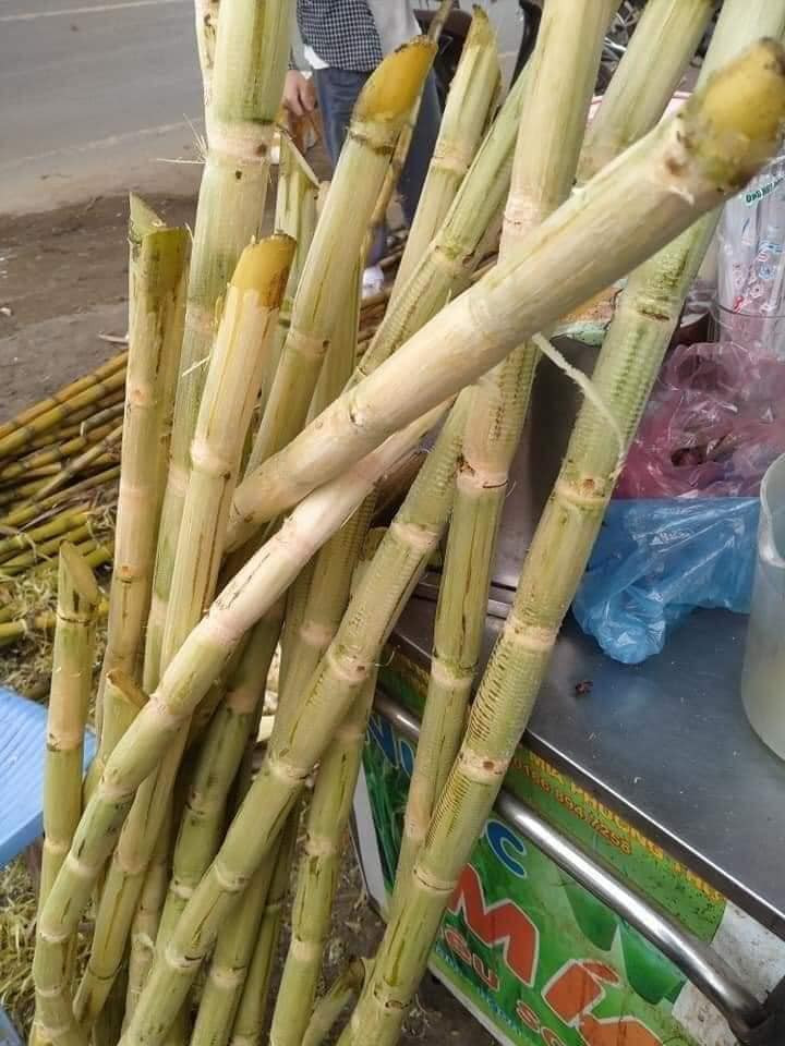 Quán nước mía di động trên vỉa hè đường phố Hà Nội đắt hàng ngày nắng nóng Nắng nóng, nước giải khát cháy hàng ảnh 1