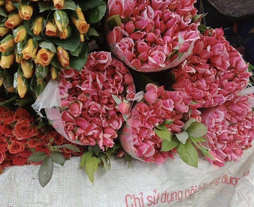 Hoa quả 'nhà giàu' giảm giá mạnh ảnh 1