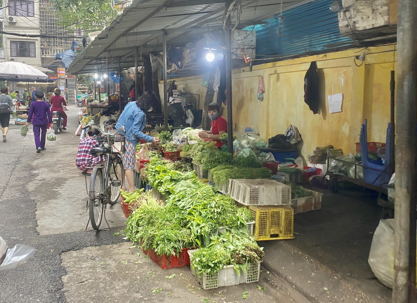 Giá rau, củ, quả giảm mạnh từ chợ cho đến siêu thị ảnh 2