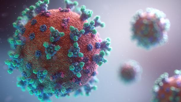 Coronavirus mới. Ảnh: WMO. Mỹ: COVID-19 đang ' rất nóng', lại phát hiện thêm virus cực độc ảnh 5