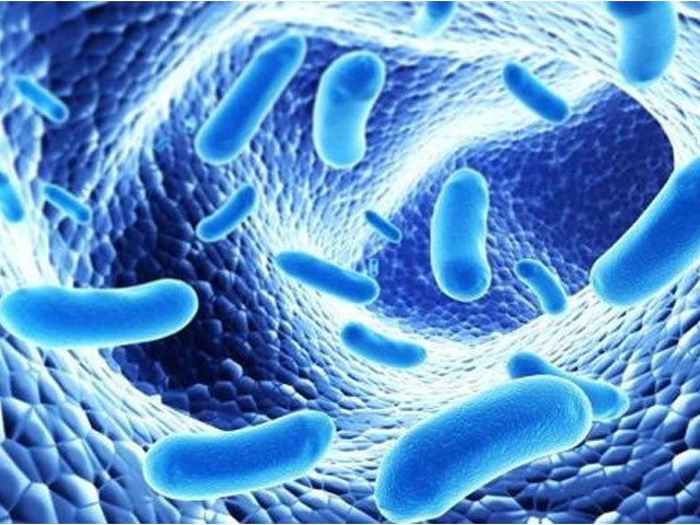 Người bị rối loạn tiêu hóa nên dùng men tiêu hóa hay men vi sinh? ảnh 2