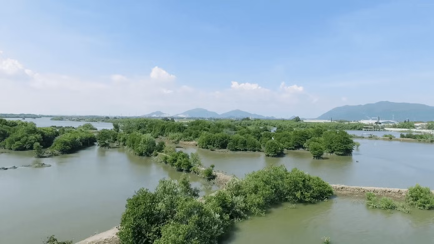 Mạng xã hội 'xanh rì' với chiến dịch 'Triệu cây vươn cao cho Việt Nam xanh' ảnh 3