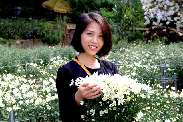 Rộn ràng mùa cúc hoạ mi giữa lòng thành phố Thanh Hoá ảnh 2