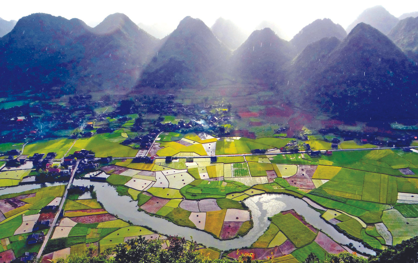 Kỳ lạ rừng nghiến Đông Đằng ảnh 2