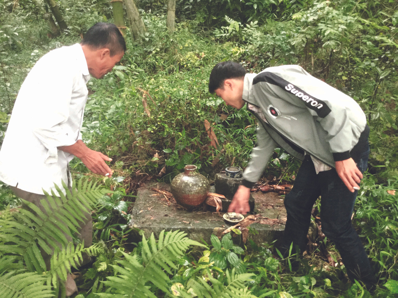 Kỳ lạ rừng nghiến Đông Đằng ảnh 3