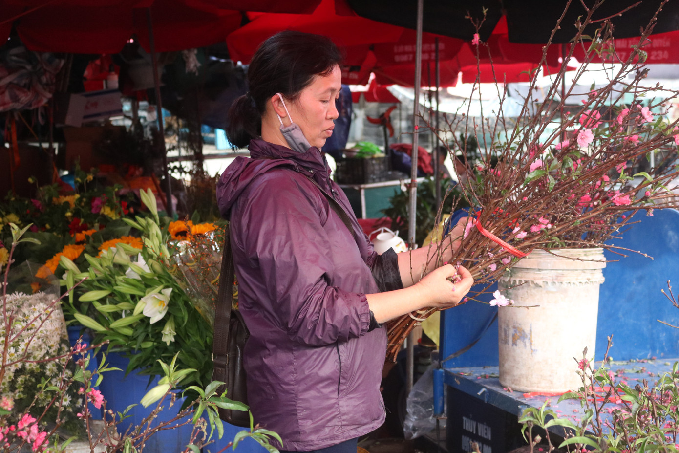 Đào Nhật Tân nở sớm, tràn ngập chợ hoa đón Tết Dương lịch ảnh 2