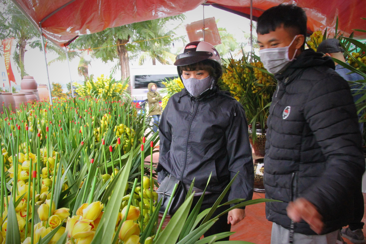 Hoa lan ồ ạt 'xuống phố', người dân Thủ đô thoải mái tuyển lựa mẫu mã ảnh 15