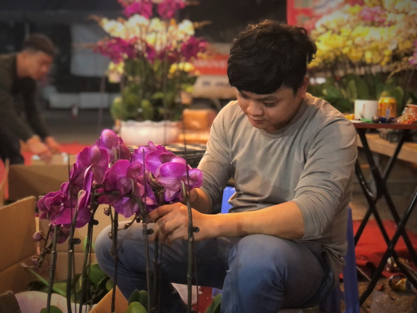 Hoa lan ồ ạt 'xuống phố', người dân Thủ đô thoải mái tuyển lựa mẫu mã ảnh 3